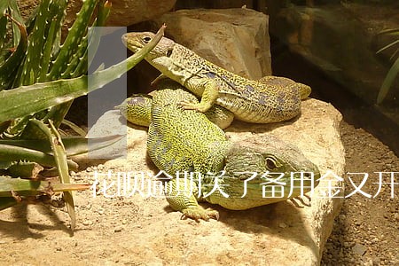 花呗逾期关了备用金又开了