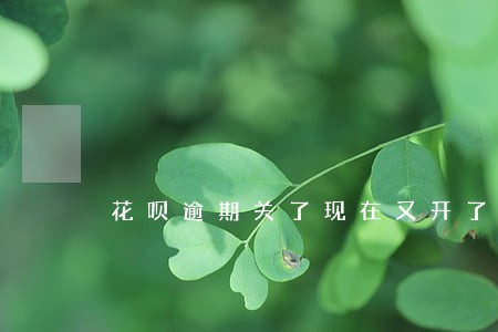 花呗逾期关了现在又开了额度没涨