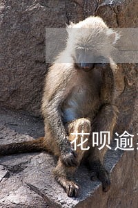 花呗逾期关了用不了额度怎么办 花呗逾期关了用不了额度怎么办
