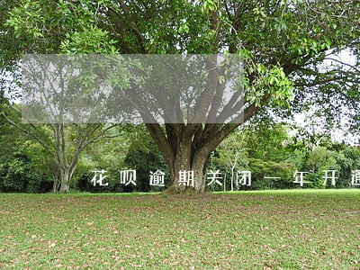 花呗逾期关闭一年开通 花呗逾期关闭一年开通
