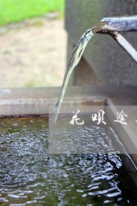 花呗逾期关闭了借呗能用么 花呗逾期关闭了借呗能用么