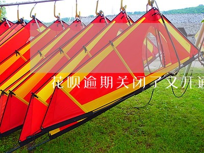 花呗逾期关闭了又开通了 花呗逾期关闭了又开通了