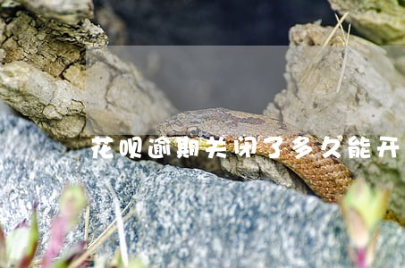 花呗逾期关闭了多久能开通 花呗逾期关闭了多久能开通