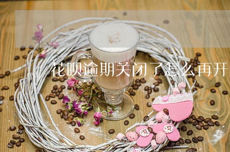 花呗逾期关闭了怎么再开通 花呗逾期关闭了怎么再开通