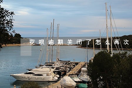 花呗逾期关闭了怎么再次开通 花呗逾期关闭了怎么再次开通