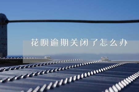 花呗逾期关闭了怎么办 花呗逾期关闭了怎么办