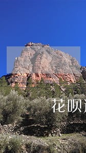 花呗逾期关闭了怎么开 花呗逾期关闭了怎么开
