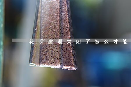 花呗逾期关闭了怎么才能开回来 花呗逾期关闭了怎么才能开回来