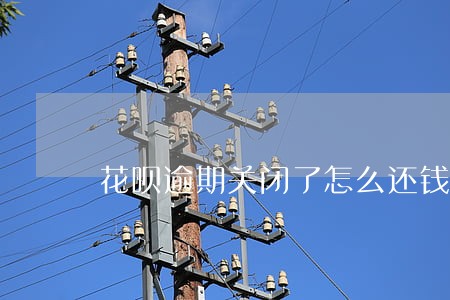 花呗逾期关闭了怎么还钱呢 花呗逾期关闭了怎么还钱呢