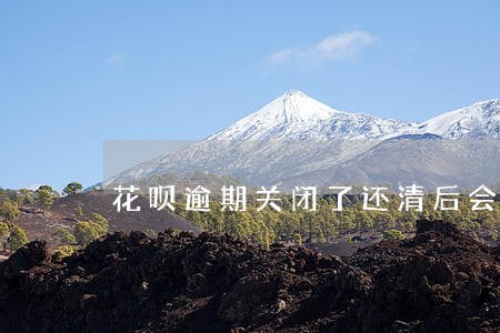 花呗逾期关闭了还清后会开通吗 花呗逾期关闭了还清后会开通吗