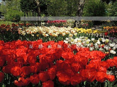 花呗逾期关闭了还能收款吗 花呗逾期关闭了还能收款吗
