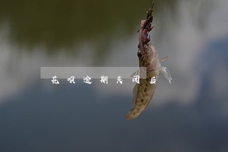 花呗逾期关闭后 花呗逾期关闭后