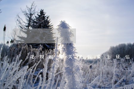 花呗逾期关闭后会上征信吗 花呗逾期关闭后会上征信吗