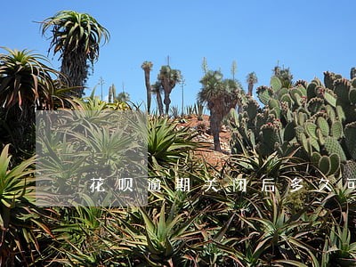 花呗逾期关闭后多久可以开通 花呗逾期关闭后多久可以开通