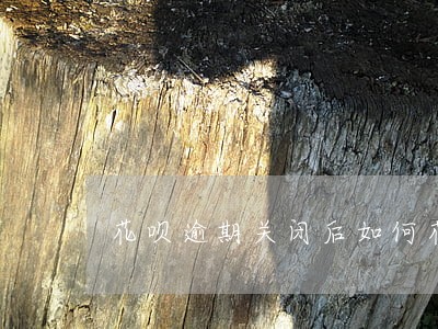 花呗逾期关闭后如何花钱 花呗逾期关闭后如何花钱