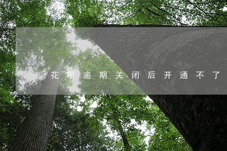 花呗逾期关闭后开通不了 花呗逾期关闭后开通不了
