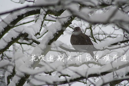花呗逾期关闭后很难开通吗 花呗逾期关闭后很难开通吗