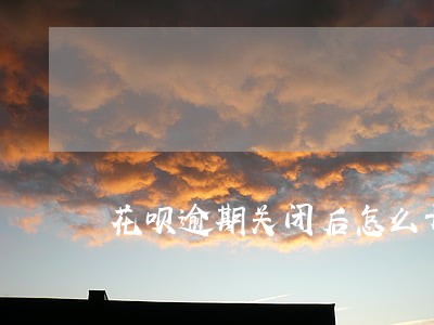 花呗逾期关闭后怎么开 花呗逾期关闭后怎么开
