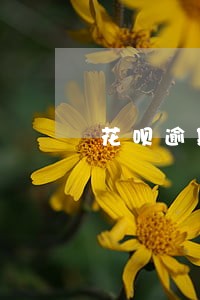 花呗逾期关闭后怎么还