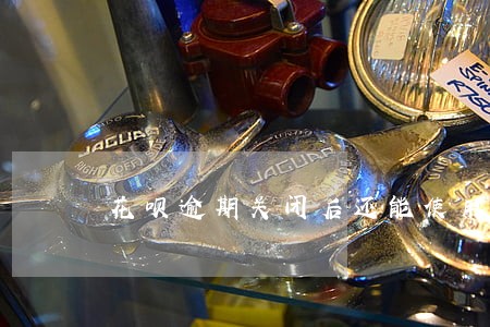 花呗逾期关闭后还能使用吗 花呗逾期关闭后还能使用吗
