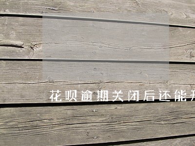 花呗逾期关闭后还能开嘛 花呗逾期关闭后还能开嘛