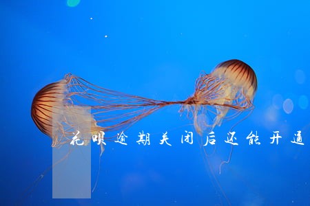 花呗逾期关闭后还能开通吗 花呗逾期关闭后还能开通吗