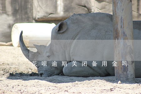 花呗逾期关闭备用金吗 花呗逾期关闭备用金吗