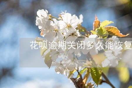 花呗逾期关闭多久能恢复 花呗逾期关闭多久能恢复