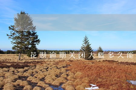 花呗逾期关闭大概多久能在开通 花呗逾期关闭大概多久能在开通