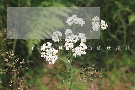 花呗逾期关闭当面还能用吗 花呗逾期关闭当面还能用吗