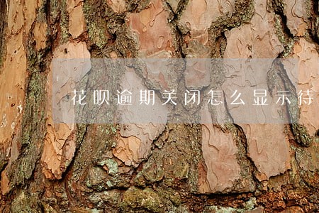 花呗逾期关闭怎么显示待守约 花呗逾期关闭怎么显示待守约