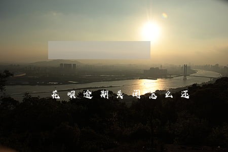 花呗逾期关闭怎么还 花呗逾期关闭怎么还