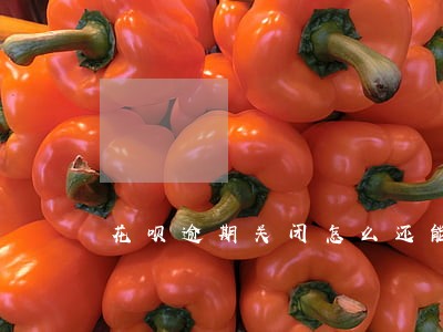 花呗逾期关闭怎么还能开通吗 花呗逾期关闭怎么还能开通吗
