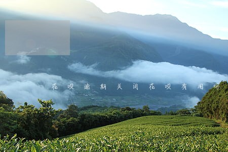 花呗逾期关闭花呗有用吗 花呗逾期关闭花呗有用吗