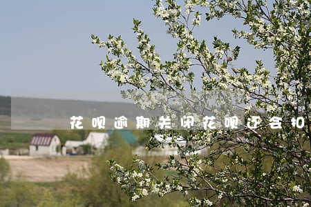 花呗逾期关闭花呗还会扣钱吗 花呗逾期关闭花呗还会扣钱吗