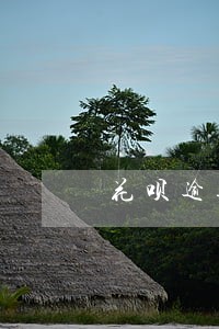 花呗逾期关闭还会自动扣费吗 花呗逾期关闭还会自动扣费吗