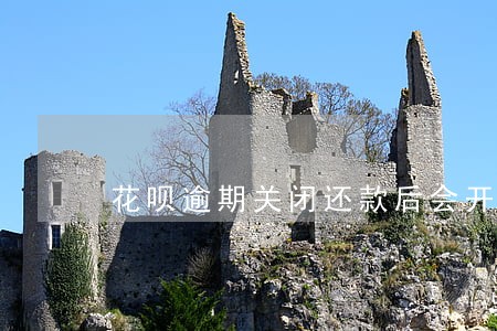 花呗逾期关闭还款后会开通吗 花呗逾期关闭还款后会开通吗