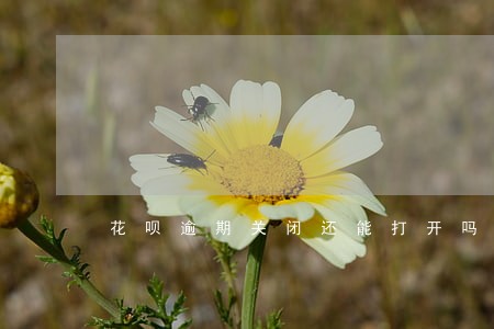 花呗逾期关闭还能打开吗 花呗逾期关闭还能打开吗
