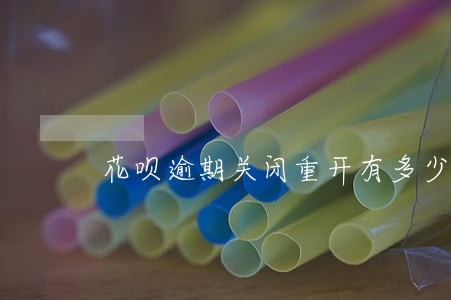 花呗逾期关闭重开有多少额度 花呗逾期关闭重开有多少额度