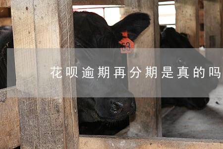 花呗逾期再分期是真的吗 花呗逾期再分期是真的吗
