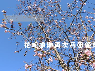 花呗逾期再次开团额度只有50 花呗逾期再次开团额度只有50