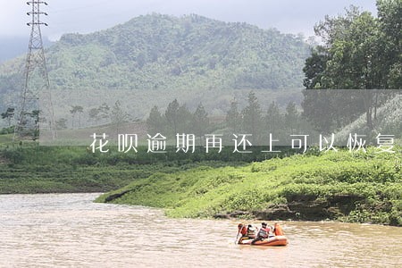 花呗逾期再还上可以恢复征信吗 花呗逾期再还上可以恢复征信吗