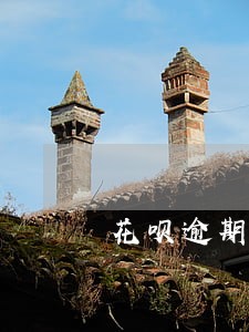 花呗逾期再还上有影响吗 花呗逾期再还上有影响吗