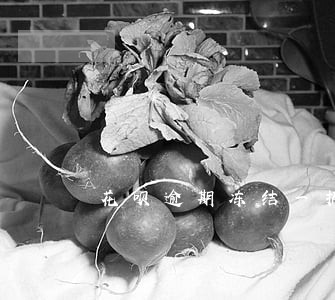 花呗逾期冻结一招解封 花呗逾期冻结一招解封