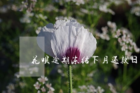 花呗逾期冻结下月还款日能解开吗 花呗逾期冻结下月还款日能解开吗