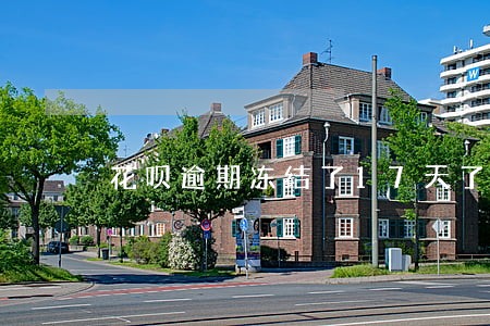 花呗逾期冻结了17天了 花呗逾期冻结了17天了