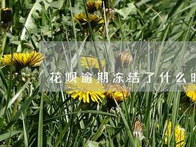花呗逾期冻结了什么时候恢复 花呗逾期冻结了什么时候恢复