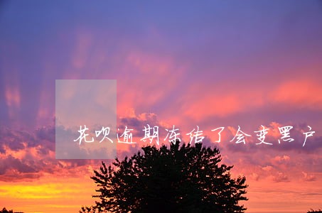 花呗逾期冻结了会变黑户吗 花呗逾期冻结了会变黑户吗