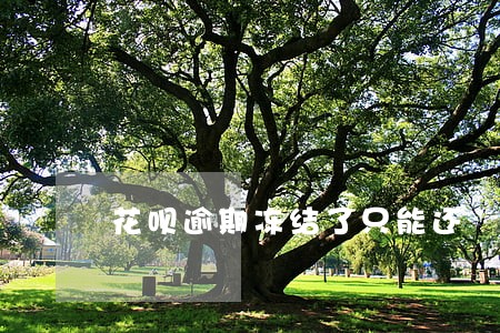 花呗逾期冻结了只能还 花呗逾期冻结了只能还
