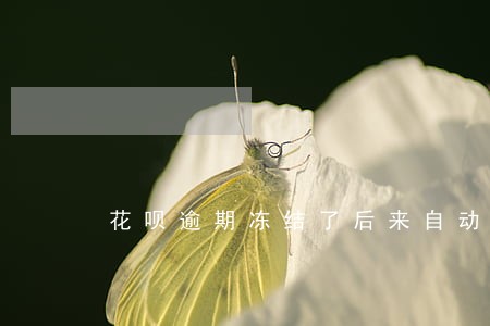 花呗逾期冻结了后来自动解冻了 花呗逾期冻结了后来自动解冻了